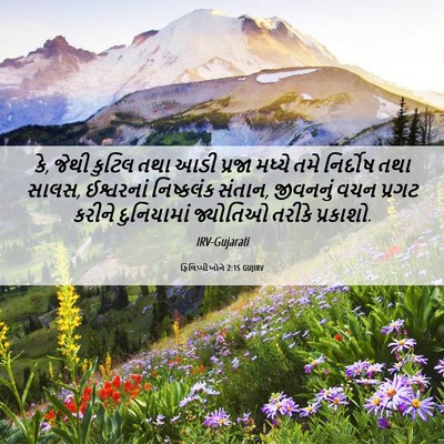 Picture 06 - ફિલિપ્પીઓને 2:15 GUJIRV - કે, જેથી કુટિલ તથા - Bible Verse Picture