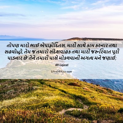 Picture 06 - ફિલિપ્પીઓને 2:25 GUJIRV - તોપણ મારો ભાઈ - Bible Verse Picture