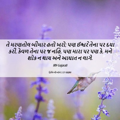 Picture 06 - ફિલિપ્પીઓને 2:27 GUJIRV - તે મરણતોલ બીમાર - Bible Verse Picture