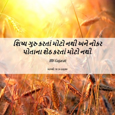 Picture 06 - માથ્થી 10:24 GUJIRV - શિષ્ય ગુરુ કરતાં - Bible Verse Picture
