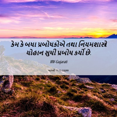 Picture 06 - માથ્થી 11:13 GUJIRV - કેમ કે બધા - Bible Verse Picture