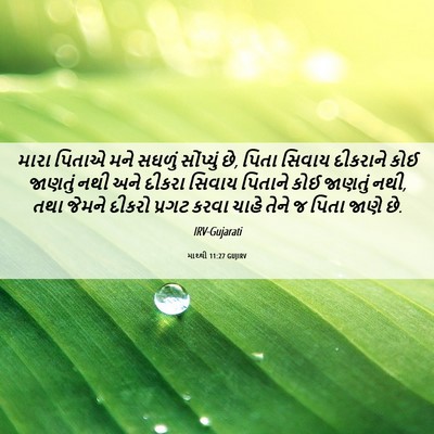 Picture 06 - માથ્થી 11:27 GUJIRV - મારા પિતાએ મને - Bible Verse Picture