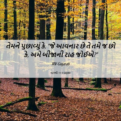 Picture 06 - માથ્થી 11:3 GUJIRV - તેમને પુછાવ્યું - Bible Verse Picture