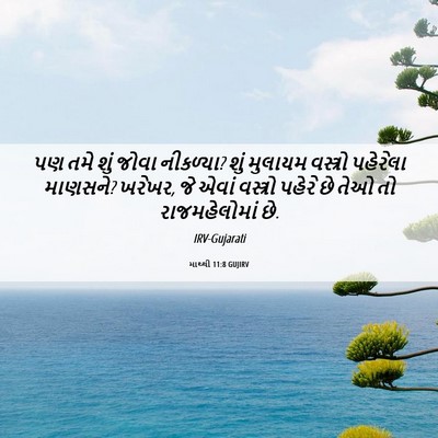 Picture 06 - માથ્થી 11:8 GUJIRV - પણ તમે શું જોવા - Bible Verse Picture