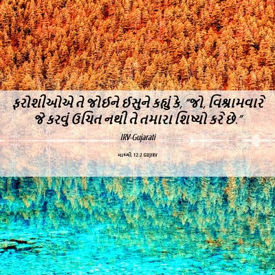 Picture 06 - માથ્થી 12:2 GUJIRV - ફરોશીઓએ તે જોઈને - Bible Verse Picture
