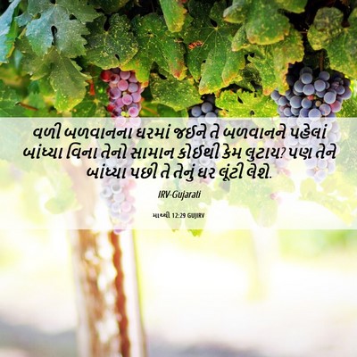 Picture 06 - માથ્થી 12:29 GUJIRV - વળી બળવાનના ઘરમાં - Bible Verse Picture