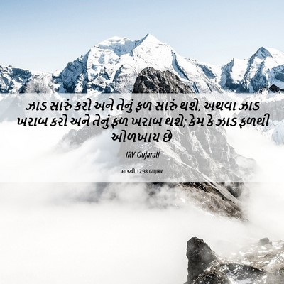 Picture 06 - માથ્થી 12:33 GUJIRV - ઝાડ સારું કરો અને - Bible Verse Picture
