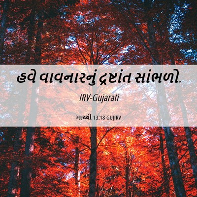 Picture 06 - માથ્થી 13:18 GUJIRV - હવે વાવનારનું - Bible Verse Picture