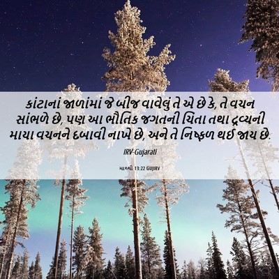 Picture 06 - માથ્થી 13:22 GUJIRV - કાંટાનાં જાળાંમાં - Bible Verse Picture