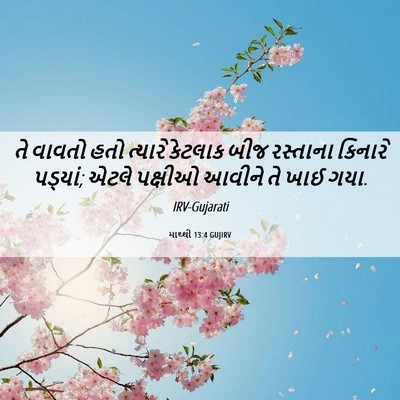 Picture 06 - માથ્થી 13:4 GUJIRV - તે વાવતો હતો - Bible Verse Picture