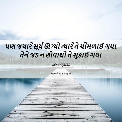 Picture 06 - માથ્થી 13:6 GUJIRV - પણ જયારે સૂર્ય - Bible Verse Picture