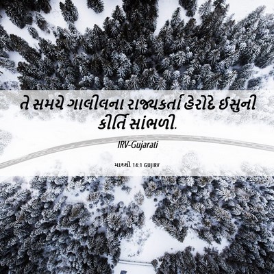 Picture 06 - માથ્થી 14:1 GUJIRV - તે સમયે ગાલીલના - Bible Verse Picture