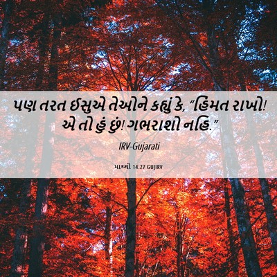 Picture 06 - માથ્થી 14:27 GUJIRV - પણ તરત ઈસુએ તેઓને - Bible Verse Picture