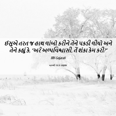 Picture 06 - માથ્થી 14:31 GUJIRV - ઈસુએ તરત જ હાથ - Bible Verse Picture