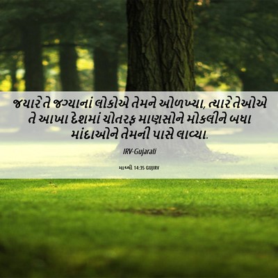 Picture 06 - માથ્થી 14:35 GUJIRV - જયારે તે જગ્યાનાં - Bible Verse Picture
