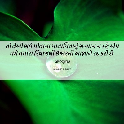 Picture 06 - માથ્થી 15:6 GUJIRV - તો તેઓ ભલે પોતાના - Bible Verse Picture