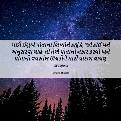 Picture 06 - માથ્થી 16:24 GUJIRV - પછી ઈસુએ પોતાના - Bible Verse Picture