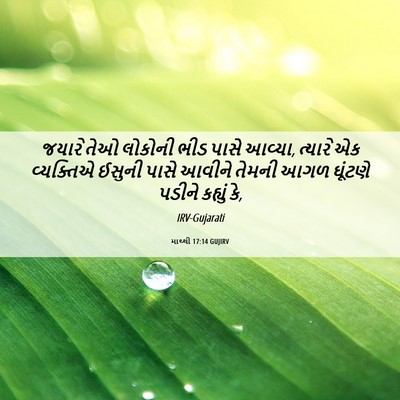 Picture 06 - માથ્થી 17:14 GUJIRV - જયારે તેઓ લોકોની - Bible Verse Picture