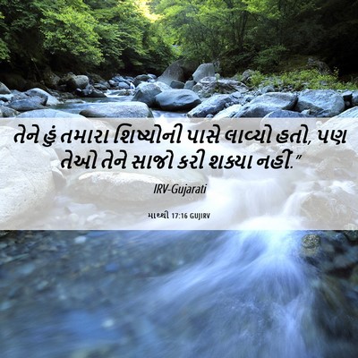 Picture 06 - માથ્થી 17:16 GUJIRV - તેને હું તમારા - Bible Verse Picture