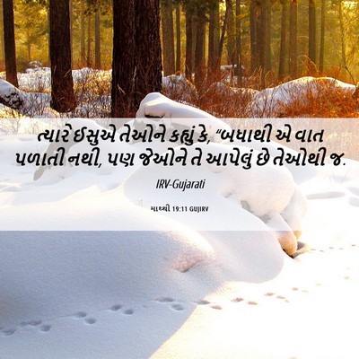 Picture 06 - માથ્થી 19:11 GUJIRV - ત્યારે ઈસુએ તેઓને - Bible Verse Picture