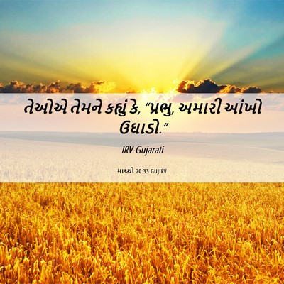 Picture 06 - માથ્થી 20:33 GUJIRV - તેઓએ તેમને કહ્યું - Bible Verse Picture