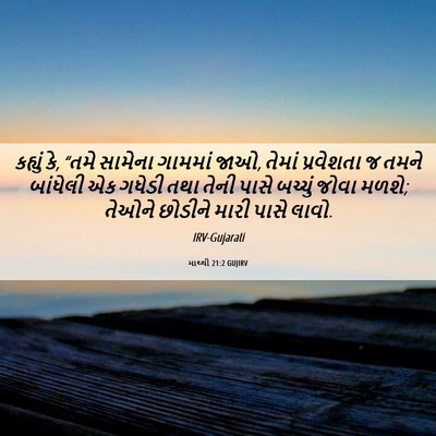 Picture 06 - માથ્થી 21:2 GUJIRV - કહ્યું કે, “તમે - Bible Verse Picture