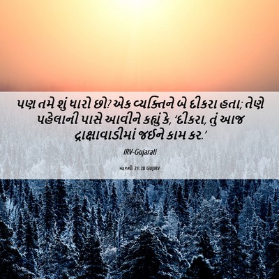 Picture 06 - માથ્થી 21:28 GUJIRV - પણ તમે શું ધારો છો? - Bible Verse Picture