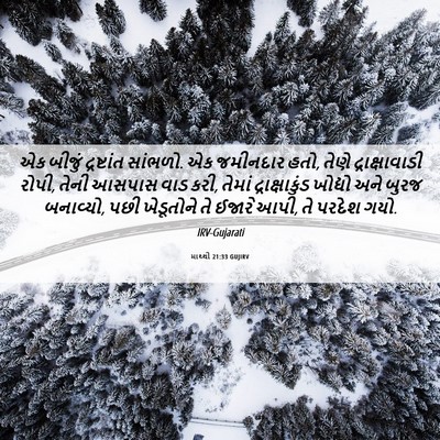 Picture 06 - માથ્થી 21:33 GUJIRV - એક બીજું - Bible Verse Picture