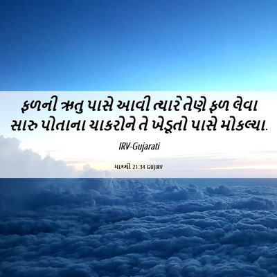 Picture 06 - માથ્થી 21:34 GUJIRV - ફળની ઋતુ પાસે આવી - Bible Verse Picture