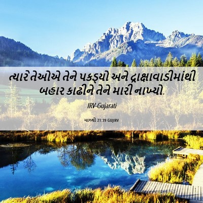 Picture 06 - માથ્થી 21:39 GUJIRV - ત્યારે તેઓએ તેને - Bible Verse Picture