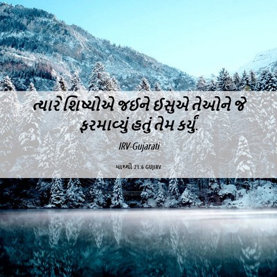 Picture 06 - માથ્થી 21:6 GUJIRV - ત્યારે શિષ્યોએ - Bible Verse Picture