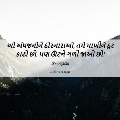 Picture 06 - માથ્થી 23:24 GUJIRV - ઓ અંધજનોને - Bible Verse Picture