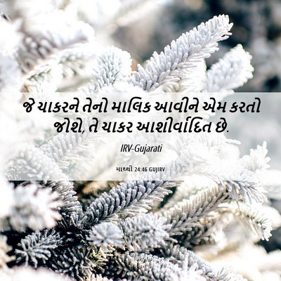 Picture 06 - માથ્થી 24:46 GUJIRV - જે ચાકરને તેનો - Bible Verse Picture