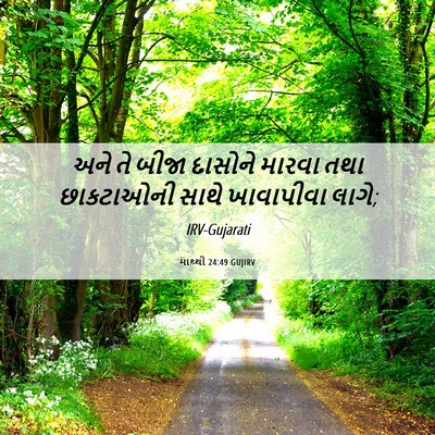Picture 06 - માથ્થી 24:49 GUJIRV - અને તે બીજા દાસોને - Bible Verse Picture