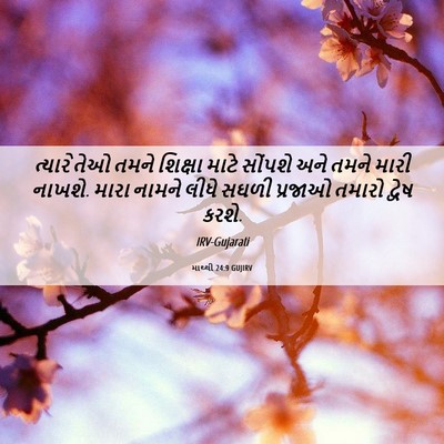 Picture 06 - માથ્થી 24:9 GUJIRV - ત્યારે તેઓ તમને - Bible Verse Picture
