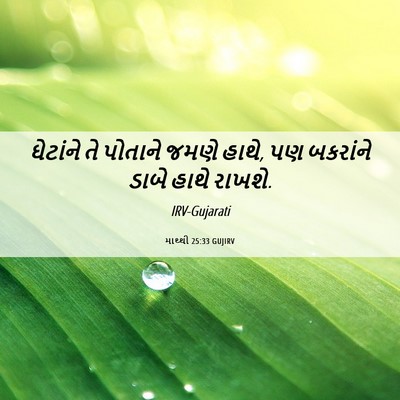 Picture 06 - માથ્થી 25:33 GUJIRV - ઘેટાંને તે પોતાને - Bible Verse Picture