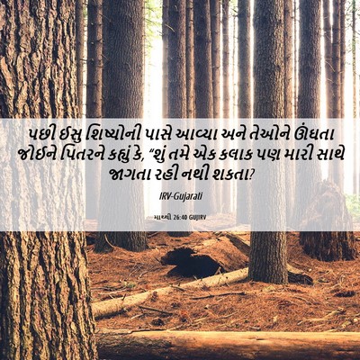Picture 06 - માથ્થી 26:40 GUJIRV - પછી ઈસુ શિષ્યોની - Bible Verse Picture