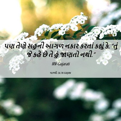 Picture 06 - માથ્થી 26:70 GUJIRV - પણ તેણે સહુની આગળ - Bible Verse Picture