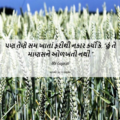Picture 06 - માથ્થી 26:72 GUJIRV - પણ તેણે સમ ખાતાં - Bible Verse Picture