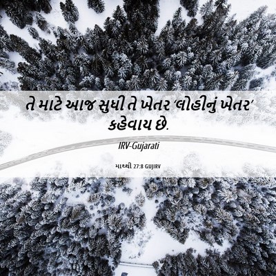 Picture 06 - માથ્થી 27:8 GUJIRV - તે માટે આજ સુધી તે - Bible Verse Picture