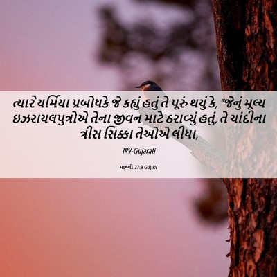 Picture 06 - માથ્થી 27:9 GUJIRV - ત્યારે યર્મિયા - Bible Verse Picture