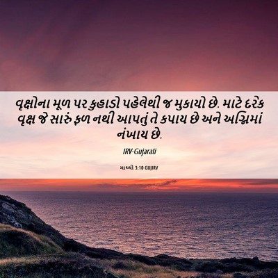 Picture 06 - માથ્થી 3:10 GUJIRV - વૃક્ષોના મૂળ પર - Bible Verse Picture