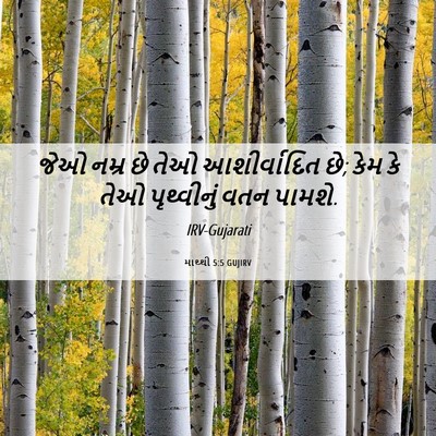 Picture 06 - માથ્થી 5:5 GUJIRV - જેઓ નમ્ર છે તેઓ - Bible Verse Picture