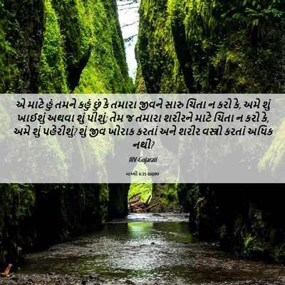 Picture 06 - માથ્થી 6:25 GUJIRV - એ માટે હું તમને - Bible Verse Picture