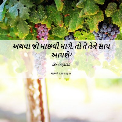 Picture 06 - માથ્થી 7:10 GUJIRV - અથવા જો માછલી માગે, - Bible Verse Picture