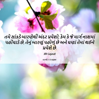 Picture 06 - માથ્થી 7:13 GUJIRV - તમે સાંકડે - Bible Verse Picture