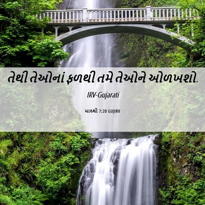 Picture 06 - માથ્થી 7:20 GUJIRV - તેથી તેઓનાં ફળથી - Bible Verse Picture