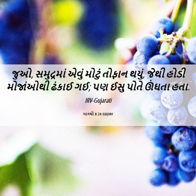 Picture 06 - માથ્થી 8:24 GUJIRV - જુઓ, સમુદ્રમાં - Bible Verse Picture
