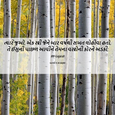 Picture 06 - માથ્થી 9:20 GUJIRV - ત્યારે જુઓ, એક - Bible Verse Picture