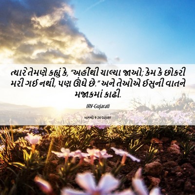 Picture 06 - માથ્થી 9:24 GUJIRV - ત્યારે તેમણે - Bible Verse Picture